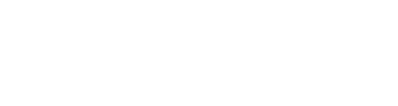 White ANEW Village Logo